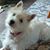 Cindy Robson's profile image
