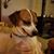 Cheryl Alcorn's profile image