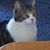 Kathie Spears's profile image