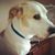 Brenda Taylor-Nielson's profile image