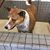 Martha Bertelsen's profile image