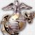 Lynne Flinders Fitzgerald's profile image