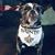 Rose Fortenberry's profile image