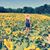 Melissa Dawson-Summers's profile image