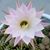 Robyn Bjorling's profile image