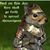 Mary Snider Trimboli's profile image