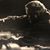 Henry Tonya Daugherty's profile image