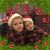Barbara Petrides Beaudoin's profile image