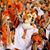 Judy Terry Nettles's profile image