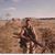 Jimmy Phipps's profile image