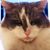 Michael Osorio's profile image