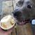Carol Sanders Dupin's profile image