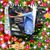 Raymond Tapia's profile image