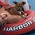 Jill Bragunier Stouffer's profile image