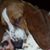 Michael DaHill Sr.'s profile image