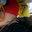 Kyle Burgi's profile image
