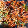 Stephanie C.'s profile image