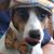 Kathe Galati's profile image