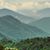 Stacey Schul's profile image