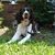 Roberta Achtziger's profile image