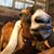 Emily Mounts's profile image