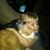 Kathy Hehre's profile image