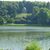 Sharon Illingworth's profile image