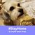 Sandy Lewellen Haldeman's profile image