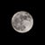 Walker Langley's profile image