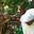 Edwin Alston's profile image