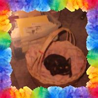 Melodie Cheney's profile image