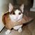 Mary Pat Klein's profile image