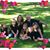 Deb Bergeron's profile image