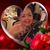 Banlang Phommasouvanh's profile image