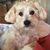 Julie Thurman's profile image