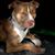 Pam Messick Freeman Scott's profile image