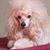 MaryAnne Fitch's profile image