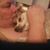 Shanna Detrick's profile image