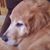 Ray'brenda Brock's profile image