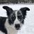Andrea Yanacheck's profile image