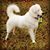 Purd Priddy's profile image