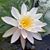 Marsha Kurka's profile image