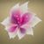 Inam Shah's profile image