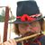 Christian T Parker's profile image