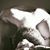Isaiah Levreau's profile image