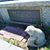 Lesleigh Luttrell's profile image
