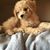 Debbie Cruz Ramos's profile image