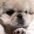 Ber Ree Ng's profile image