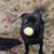 Amy Seiler's profile image