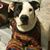 Savannah Adale Hendrix's profile image